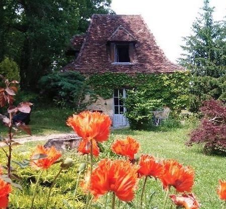Petite Maison En Perigord Noir Plazac Luaran gambar