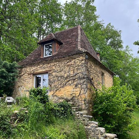 Petite Maison En Perigord Noir Plazac Luaran gambar