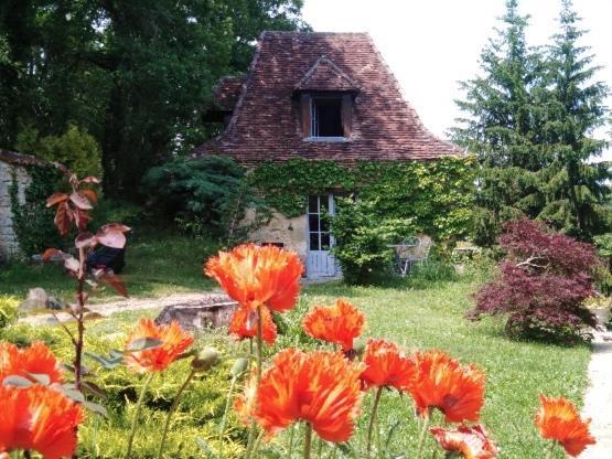 Petite Maison En Perigord Noir Plazac Luaran gambar